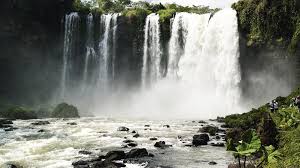 The ecotourism is really big in the region around here. Shore Excursion Tour To Catemaco And Los Tuxtlas From Veracruz Veracruz Project Expedition