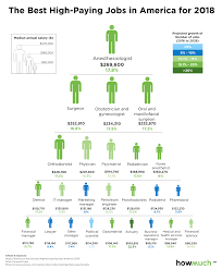 The Highest Paying Jobs With The Most Growth Potential In 2018 Doctor Or Bust The Infographs Techguides Highestpayingjobs I High Paying Jobs Job Growth