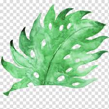 Watercolor Texture Leaf Texture Mapping Watercolor Painting Motif Creativity Plant Transparent Background Png Clipart Hiclipart Find over 100+ of the best free watercolor images. watercolor texture leaf texture