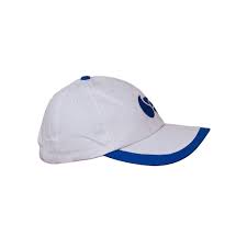 Latest cricket news, live cricket scores and updates, match series with cricket match schedule, photos, videos and more on firstcricket of firstpost. Dsc Glider Cricket Cap White Amazon In Sports Fitness Outdoors