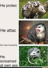 He Scream At Own Ass Know Your Meme
