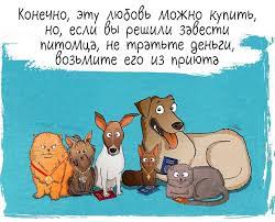 10 veshej kotorye my ponyali kogda vzyali sobaku iz priyuta shelter dogs shelter dog quotes animal shelter quotes