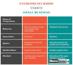 Difference Between Entrepreneurship Small Business Profitable Business
