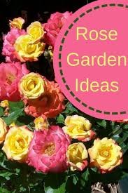 Front Yard Rose Garden Rose Garden Design Rose Garden Landscape Rose Garden