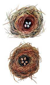 Nest egg designs was founded in 2009. Waterproof Temporary Fake Tattoo Stickers Cute Unique Birds Nest Egg Design Kids Child Body Art Make Up Tools Affiliate Fake Tattoos Body Art Egg Designs