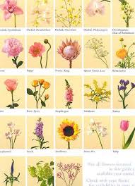 Pics Of Flowers And Their Meanings List Of Flowers Flower Meanings Irish Flower