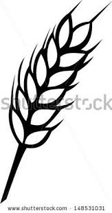 Autumn Silhouettes On White Background Vegetables And Tree Stock Vector 58551565 Shutterstock Outline Drawings Trendy Tree Wheat