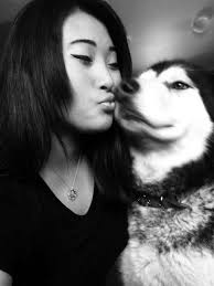 Dog will reunite with owner after four months