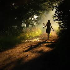 M Words The Christian Woman Photography Forest Photo