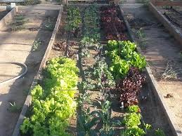 I look forward to my return visit to az to visit your farm, thanks for sharing what you do. The Simple Farm Scottsdale 2021 What To Know Before You Go With Photos Tripadvisor