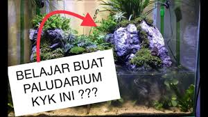 Belajar Bikin Paludarium Pake Tanaman Seadanya How To Make Paludarium Youtube