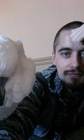 Tips for macaw owners and breeders