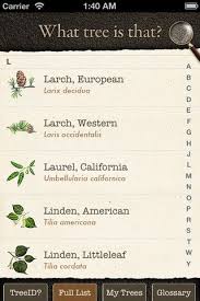 Arbor Day Tree Identification Guide What Tree Tree Identification Arbour Day Tree