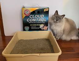 Mallory crusta is a writer and adventurecat enthusiast on a mission to make cats'. Chicken Stock Soup For Cats Recipe The Catnip Times Clumping Cat Litter Cat Litter Natural Cat Litter