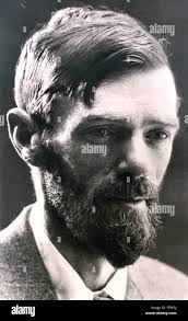 DAVID HERBERT LAWRENCE (1885-1930). Photographed by P. Juley & Son Stock  Photo