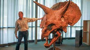 Colossal Fossil - Country Roads Magazine