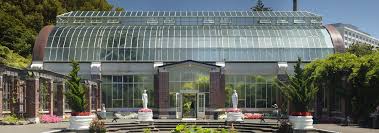 What S On In The Auckland Domain The Wintergarden Pavilion