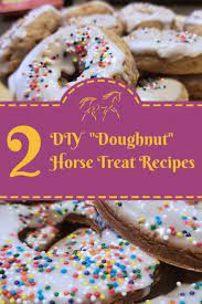 Happy National Doughnut Day Horse Treats Homemade Horse Treats Homemade Pet Treats