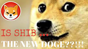 What do shib coin's creators say about the coin? Is Shib The New Dogecoin Shib Up 10000 In A Week Meme Coins Rule Youtube