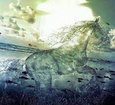 صورة انسان بقلم كارم الطير photo manipulation art photo manipulation water art
