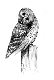 Check spelling or type a new query. Common Myths About Adirondack Nature The Adirondack Almanack