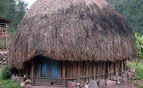 Rumah Adat Papua Gambar Penjelasan Mengenai Keunikannya