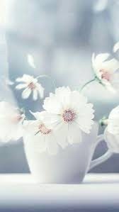 Iphone X And Iphone 8 Stock Wallpapers Part 2 Funmary Nature Iphone Wallpaper Flower Wallpaper Beautiful Flowers