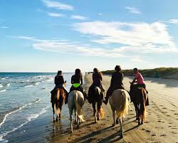 As of 2013, its population was 316,381. The Ultimate Corpus Christi Beach Getaway To Watch The Waves
