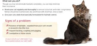 Dry heaves are extremely common and often occur after periods of vomiting. Cats That Make Hacking Retching Gagging And Coughing Noises Pet Health Carecats That Make Hacking Retching Gagging And Coughing Noises