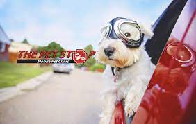 Check spelling or type a new query. The Pet Stop Mobile Pet Clinic Linkedin