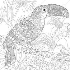Coloring Page For Adults Digital Coloring Pages Toucan Bird Etsy Anti Stress Coloring Book Stress Coloring Book Antistress Coloring