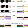 Semi trailer tail light wiring diagram. 1