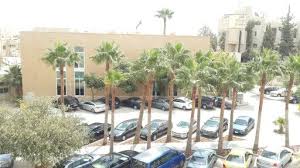 Palm Trees In Amman Palm Trees Palm World