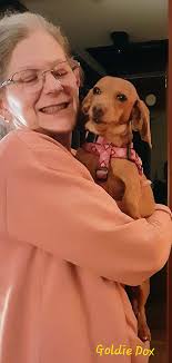 Gud hevaing Folks, wez ope dat uzz day woza gud N. Just ad our last walkies  N hits snot so warm now. Wez walking hlon da big woad N dez retards cum