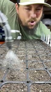 Pepper Growing Fundamentals