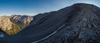 Image result for Kedrostis abdallai