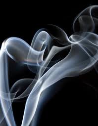 SHOP Rose Garden Heist Bougie Parfumée — DEBORAH BARNET