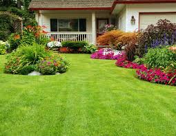 I now have a beautiful lush weed. Perma Green Affordable Lawn Care Solutions Serving Nwi Since 1974