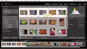 Then if we wanna view this. Julieanne Kost S Blog Customizing View Options In Lightroom Classic