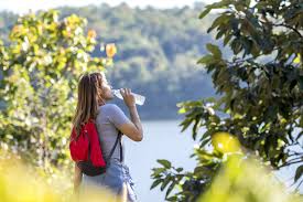 Buying health insurance for the first time seems confusing at first. Health And Wellness Tips Staying Healthy When You Travel Beavers Bend Creative Escapes