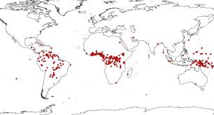 Get ready to take the next step. Asian Crop Dispersal In Africa And Late Holocene Human Adaptation To Tropical Environments Springerlink