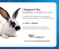 Using animals in research and to test the safety of products has been a topic of heated debate for decades. Pin On Be Cruelty Free