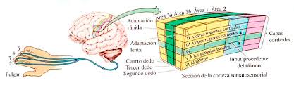 Resultat d'imatges de grafologia racional grafoterapia. V lledo