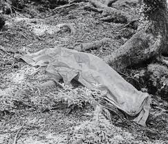 Aokigahara: An Ethereal Forest Where Japanese Commit Suicide | National  Geographic