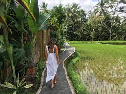 Bali corona update, travel restrictions. Ten Things To Do In Bali Indonesia Wego Travel Blog