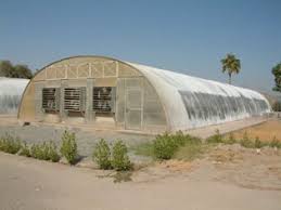 موضوع مخصص للبيوت المحميه