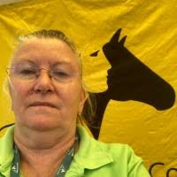 40+ "Veronica Davies" profiles