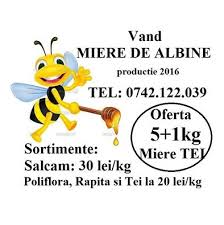 Miere De Albine Pentru Romanii Din Germania AnunÈ›uri Germania