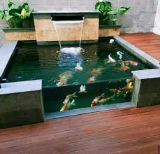 Bila kolam ikan berada di dalam ruangan, maka kamu bisa menyinarinya dengan lampu pijar sebagai pengganti sinar matahari. Jasa Buat Kolam Ikan Koi Tukang Taman Konstruksi Dan Taman 816850752