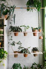 Take A Look Inside The Best Plant Instagram Accounts Plants House Plant Care Cool Plants